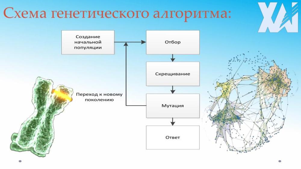 Генетические алгоритмы